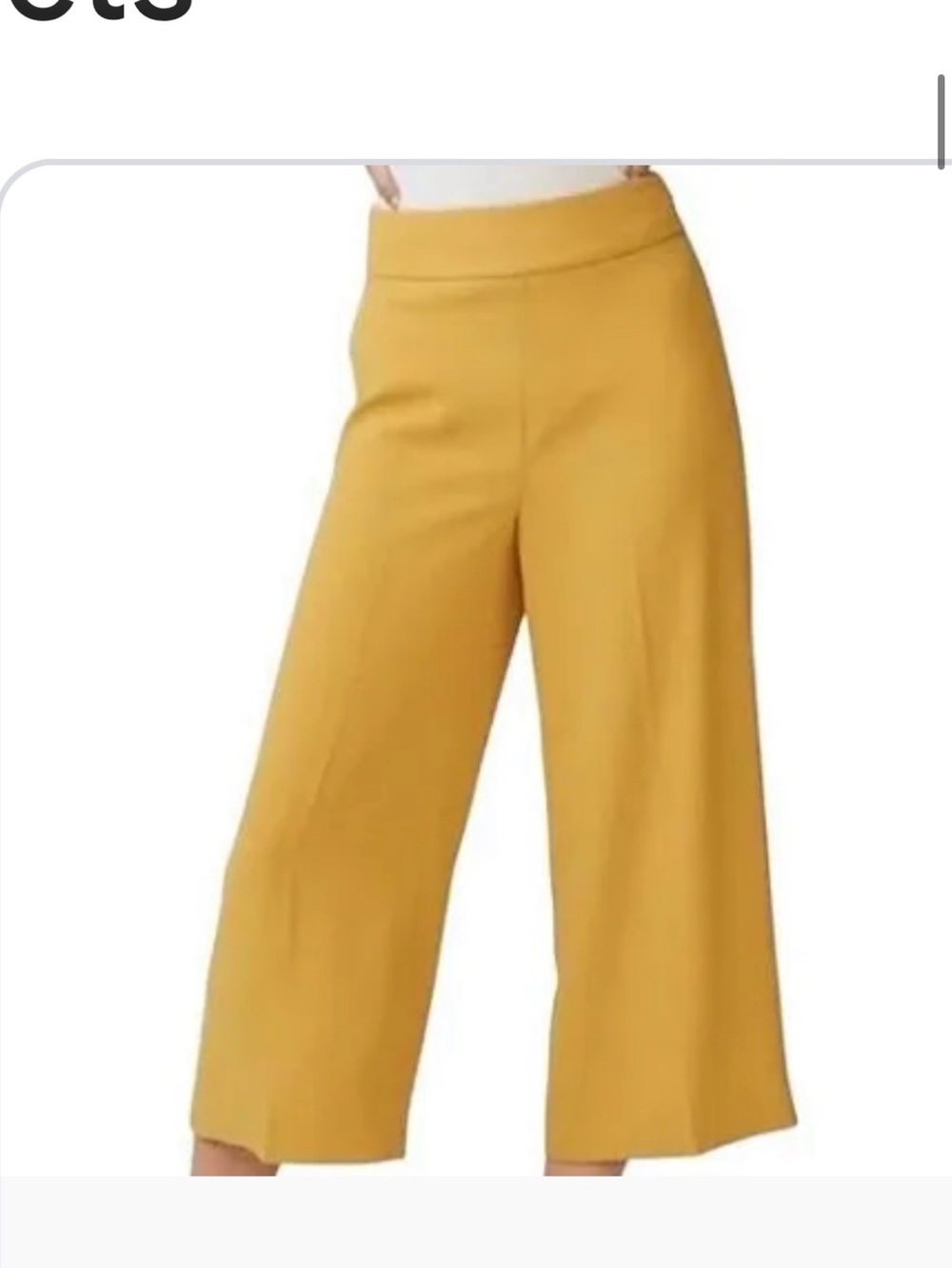 Express Mustard Wide-Leg Cropped Pants